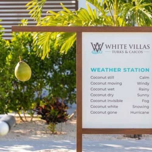 All this... where the coconut is dry 320 days a year