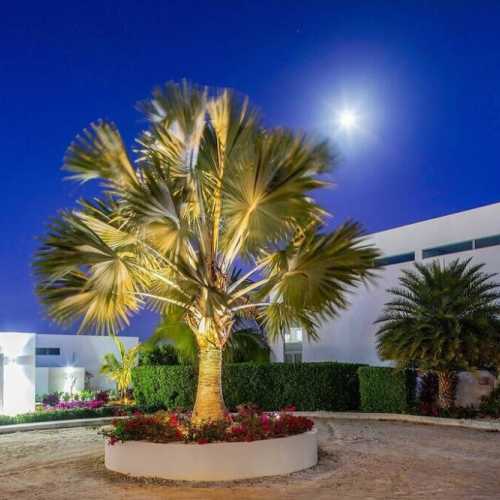 Full moon at White Villas