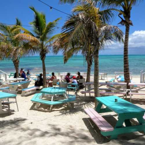 Have lunch at local restaurants