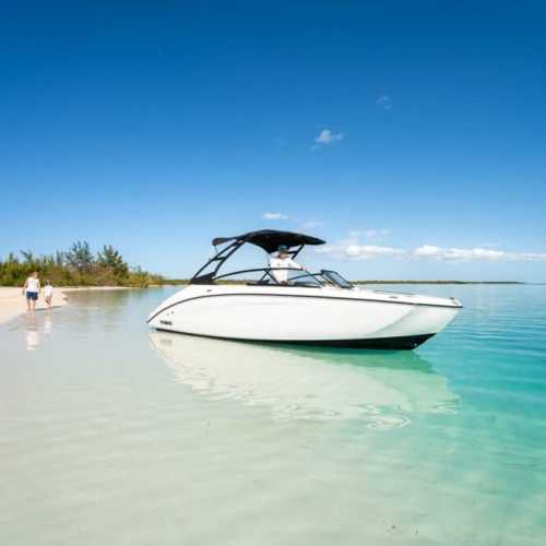 Take our boat excursion