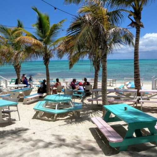 Lunch at cool restaurants (Da Conch Shack)