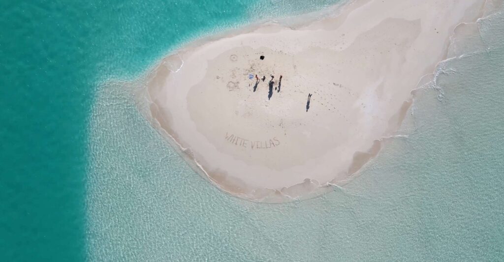 Beach surrounded by the sea in Turks and Caicos