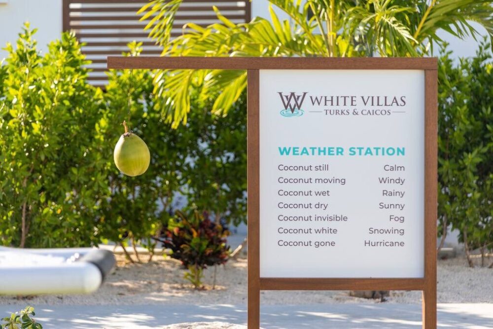 All this... where the coconut is dry 320 days a year