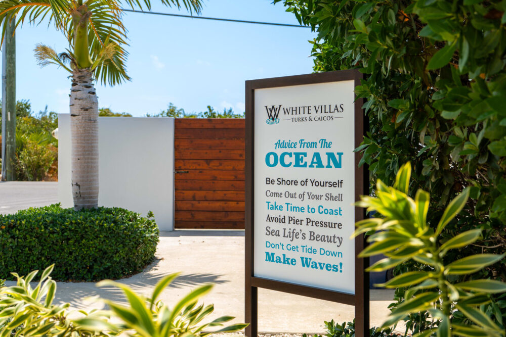 Advice from the ocean