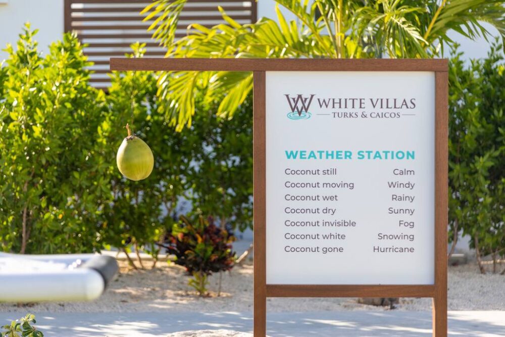 All this... where the coconut is dry 320 days a year
