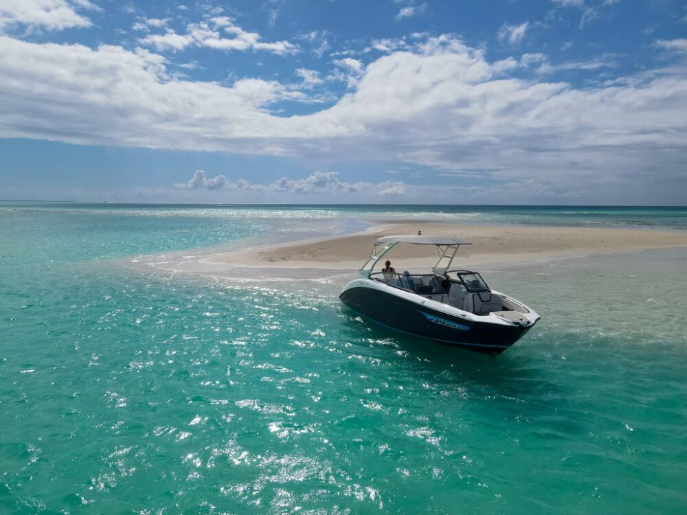 Take our boat excursion
