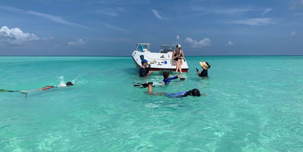 boat excursion and swim in sea of TCI