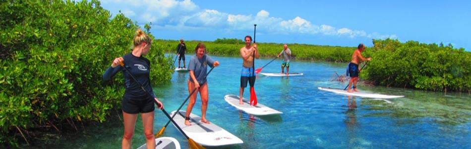 paddleboard