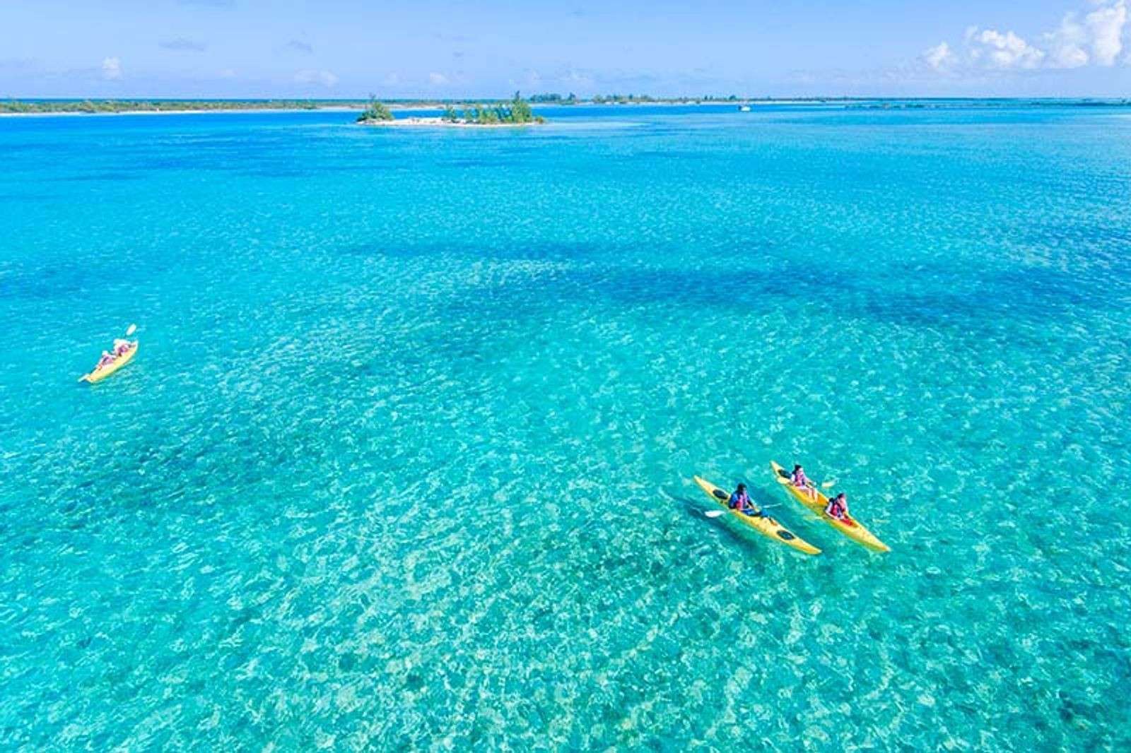 Clear Kayak through Mangrove Cay