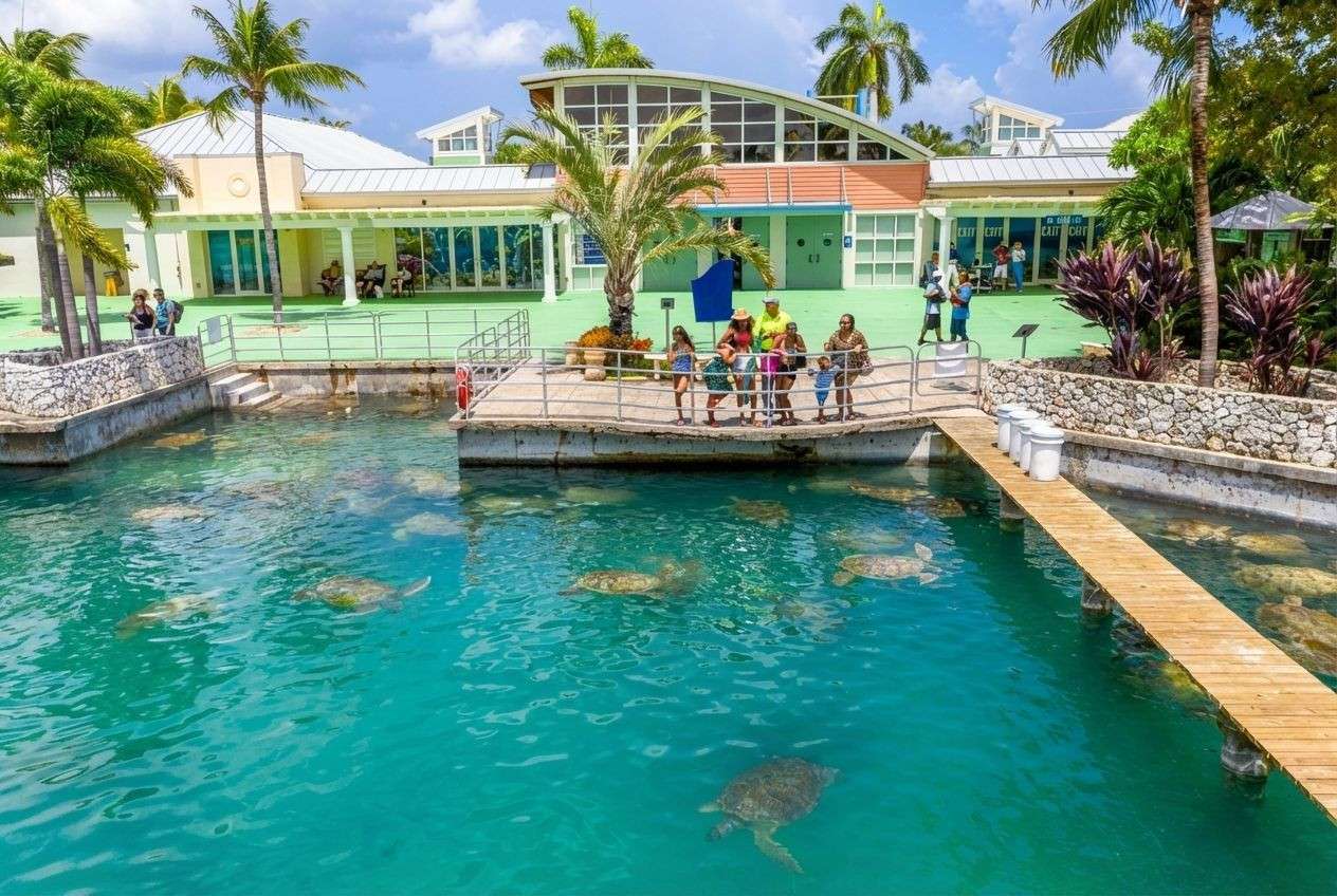 Cayman Turtle Centre