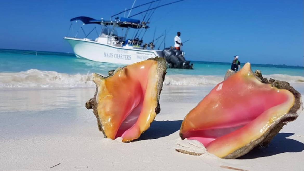 M and J's Charters fishing boat departing Providenciales