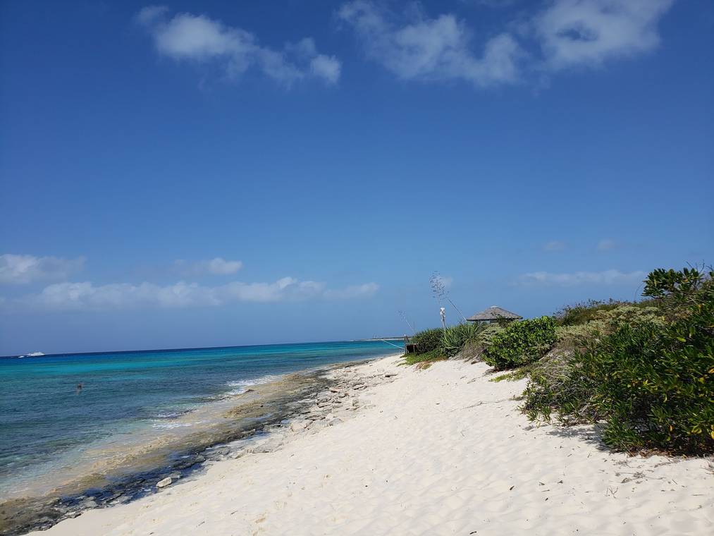 Empty white-sand shoreline at Malcolm's Road Beach with turquoise Caribbean water and low ironshore rocks in the distance
