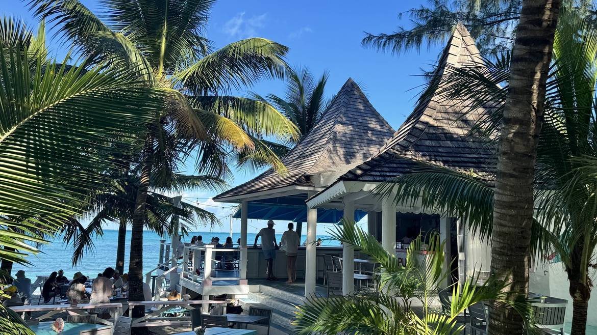Da Conch Shack beachfront restaurant under the palms in Blue Hills