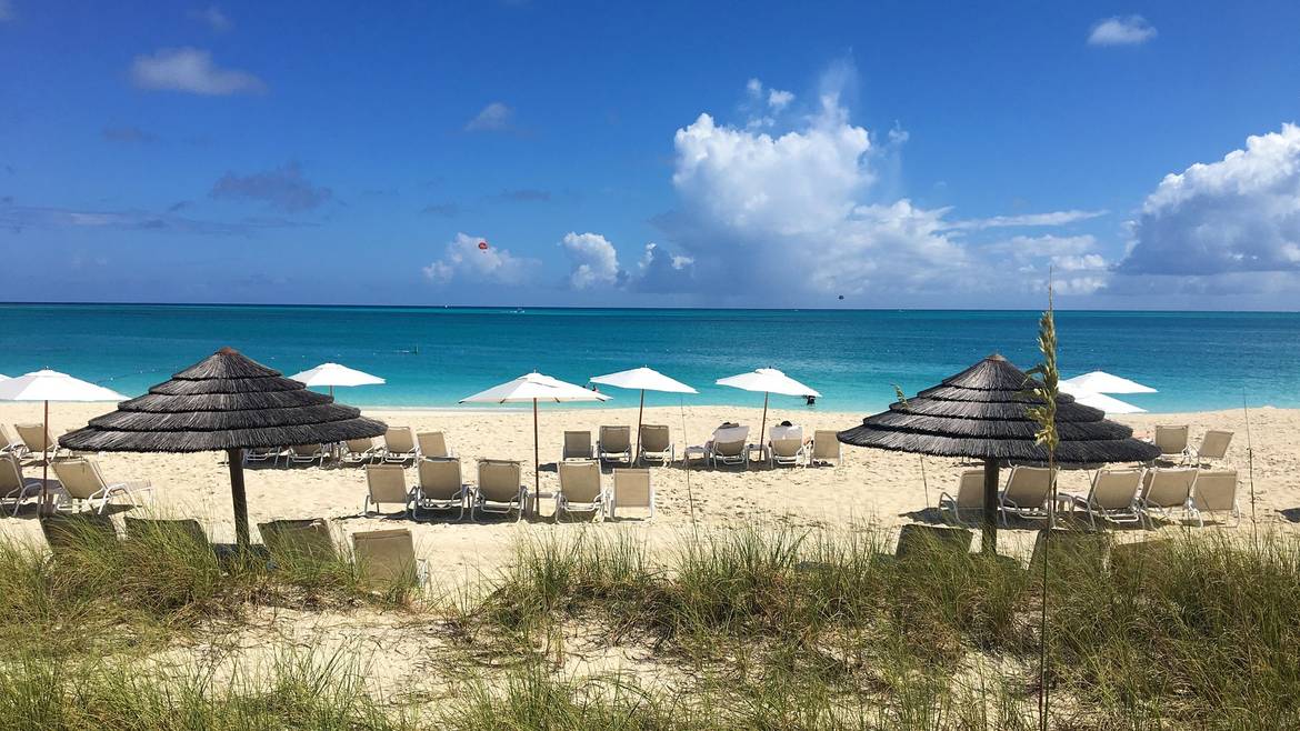 Thatched umbrellas and loungers above the dunes on Grace Bay Beach, Providenciales