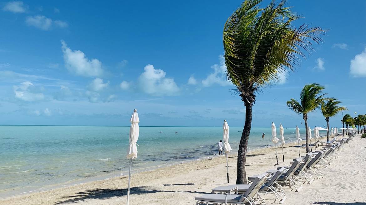 Palm trees and loungers on Long Bay Beach in Providenciales