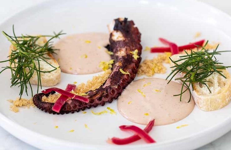 Char Grilled Spanish Octopus, Kalamata Olive Sauce, Pickles Shallots, Savory Thyme-Lemon Crumble
